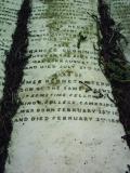 image of grave number 293836
